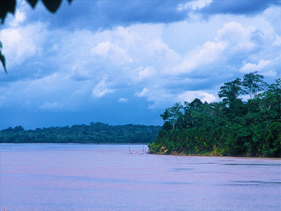 western Amazon Study Abroad Journal